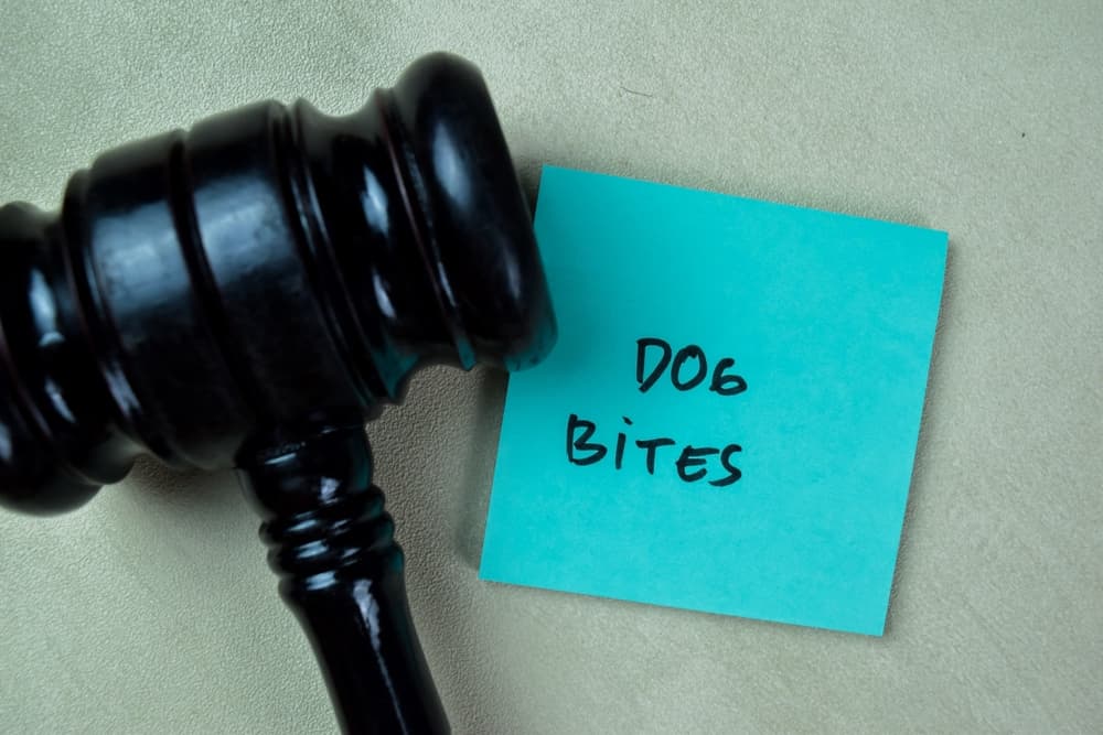 Sticky notes with 'Dog Bites' written on them, accompanied by a gavel, placed on a wooden table, symbolizing legal considerations of dog bite cases.